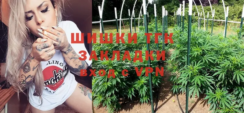 Шишки марихуана THC 21%  наркошоп  Шуя 